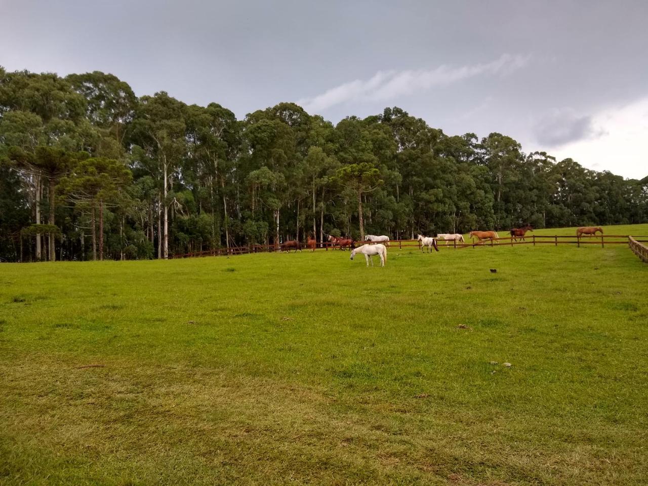 Sitio Rancho Crioulo Hotel Urubici Bagian luar foto